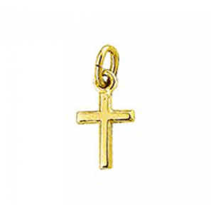 Goud hanger kruis hol 10.5x6 mm - 3150979