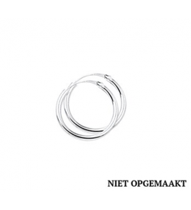 Zilveren creolen RH 2 x 19 mm - 3160371