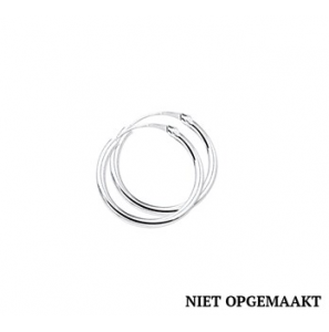 Zilveren creolen RH 2 x 19 mm - 3160371