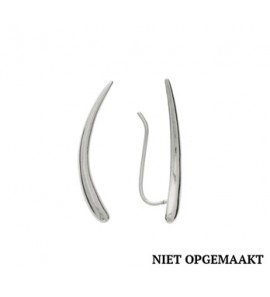 Zilveren oorschuiven RH - 3160365