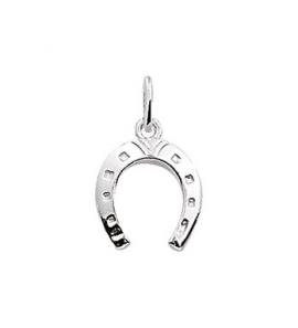 Zilver bedel hoefijzer - 3151678