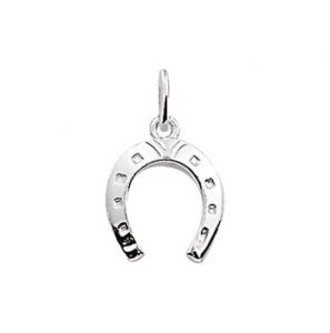 Zilver bedel hoefijzer - 3151678