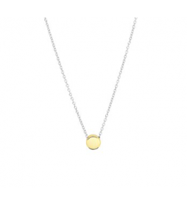 Zilveren collier RH met goudkleurig hangertje 41-45 cm (geen garantie op plating) - 3181293