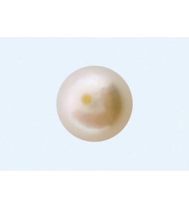 Goud oorknop cultivé parel 7 mm - 3181875