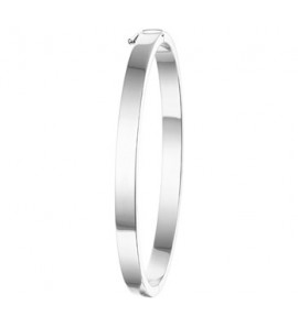 Zilveren slavenarmband RH 5 mm met scharniersluiting 56 mm - 3181464