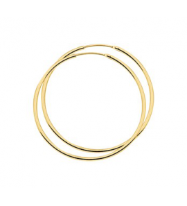 Zilver verguld buis-creool 1.5 mm 44 mm (geen garantie op plating) - 3190764