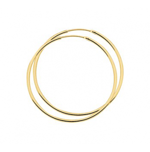Zilver verguld buis-creool 1.5 mm 44 mm (geen garantie op plating) - 3190764
