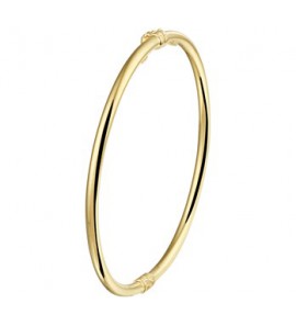 ZilGold slavenband verend schanier 3 x 60 mm - 3190857