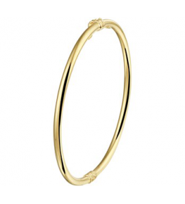 ZilGold slavenband verend schanier 3 x 60 mm - 3190857