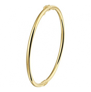 ZilGold slavenband verend schanier 3 x 60 mm - 3190857
