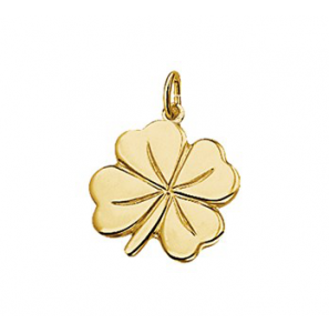 Gouden hanger klavervier 18x14mm - 3151996