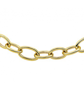 Goud collier met ovalen schakels 14 mm 50 cm - 3191604