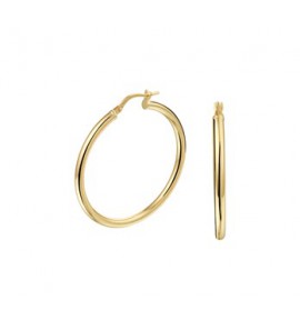 ZilGold oorring 2.5 mm 40 mm - 3193356