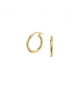 ZilGold oorring 2.5 mm 20 mm - 3193354