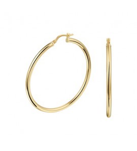 ZilGold oorring 2.5 mm 44 mm - 3193357