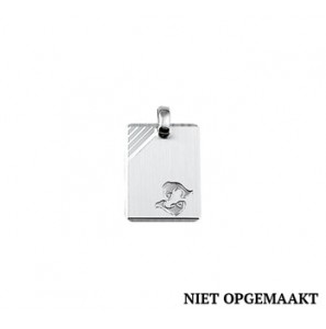 Zilveren hanger RH sterrenbeeld vissen 14x19 mm - 3160460