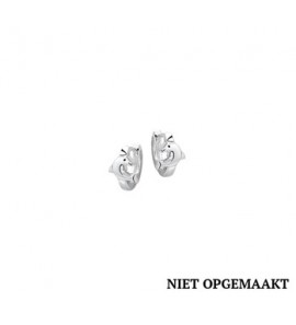 Zilveren klapcreool kind RH dolfijn - 3160508