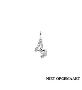 Zilveren hanger/bedel RH paard - 3160643