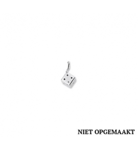 Zilveren hanger/bedel RH dobbelsteen - 3160672