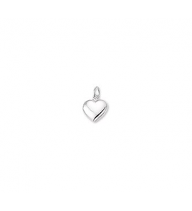 Zilveren hanger RH hartje bol - 3160673