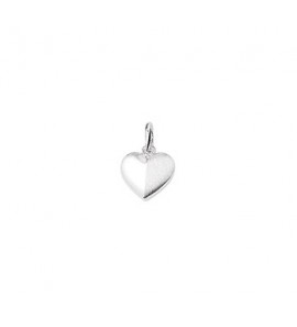 Zilveren hanger RH hartje mat/glans 11.5x10.5 mm - 3160676
