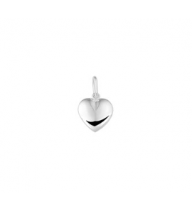 Zilver RH hanger hartje massief 10 mm - 3160678