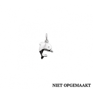 Zilveren hanger/bedel RH dolfijn mat/glans - 3160648
