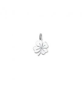 Zilveren hanger RH klavertje vier 14x11 mm. - 3160683