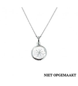 Zilver anker collier1,3 mm RH met klavertje vier in rand 41+4 cm - 3160757
