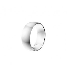 Stalen herenring mat/glans maat 20,25 - 3161426
