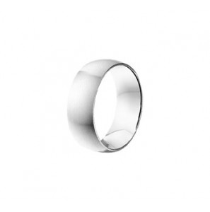 Stalen herenring mat/glans maat 20,25 - 3161426