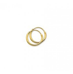 Goud buis-creool 1.3 mm 9 mm - 3161460