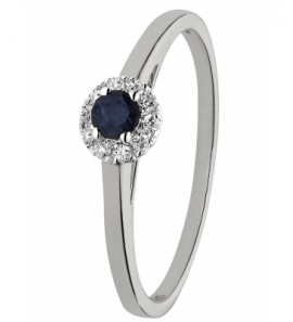ID witgouden rozet ring 0,07 crt si / 0,15 blauwsaffier wg - 3161577