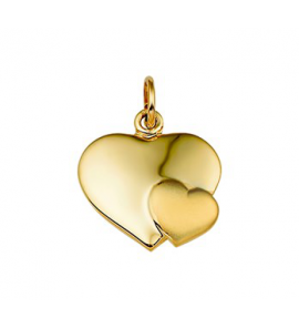 Goud hanger hart poli/mat - 3162267