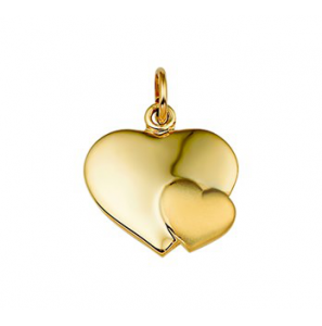 Goud hanger hart poli/mat - 3162267