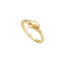Geelgouden damesring fantasie mat/glans mt. 17 - 3162529