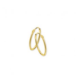 Goud buis-creool 1.3 mm 17 mm - 3170130