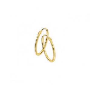 Goud buis-creool 1.3 mm 17 mm - 3170130