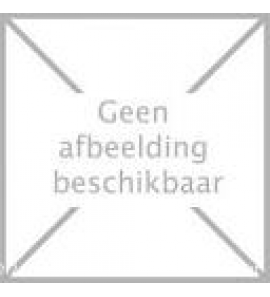 Zilveren collier met turqoise steen - 3170307