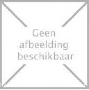 Zilveren collier met turqoise steen - 3170307