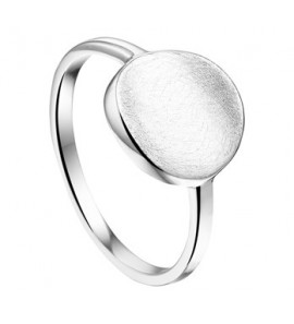 Zilveren ring RH rond/gescratcht maat 17,75 - 3170713