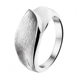 Zilveren ring RH glans/gescratcht maat 17,75 - 3171592
