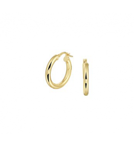 ZilGold oorringen met hefboomsluiting, 14 karaat goud met een kern van 925 zilver (21x3 mm) - 3190562