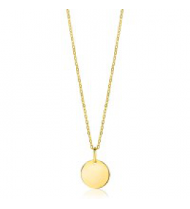ZINZI GOLD collier met rond plaatje 45 cm - 3181499
