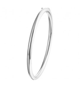 Zilver RH slavenband ronde buis schanier 4 x 60 mm - 3190858