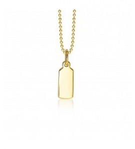 ZINZI zlv. hanger geel verguld rechthoek glad - 3190993