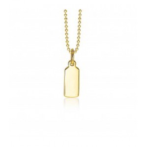 ZINZI zlv. hanger geel verguld rechthoek glad - 3190993