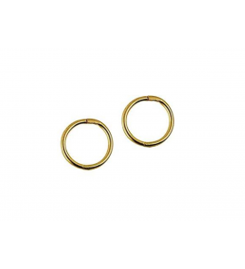 Zilver all day klap-creolen 12 mm glad verguld - 3191195