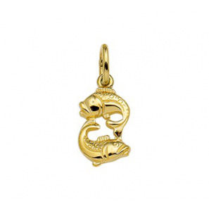 Goud sterrebeeld Vissen - 3191364
