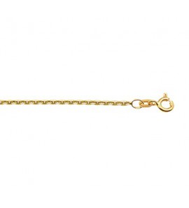 Double collier anker 1.6 mm 42 cm - 3191766